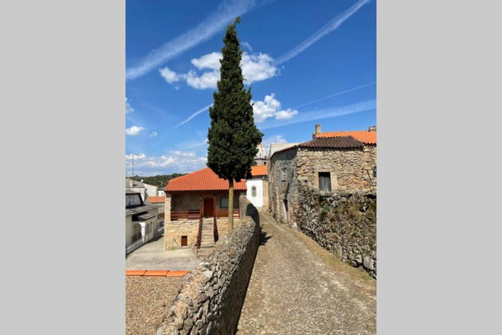 فيلا Casa De Sampaio - Castelo Mendo المظهر الخارجي الصورة